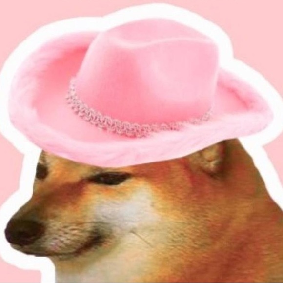 vvlvt